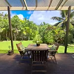 Eryns Muri Palms