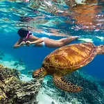 Sanctuary Rarotonga On The Beach (Adults Only)