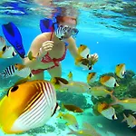 Sanctuary Rarotonga On The Beach (Adults Only)