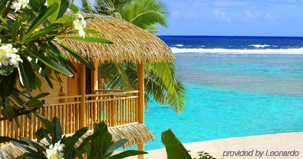 Sanctuary On The (adults Only)