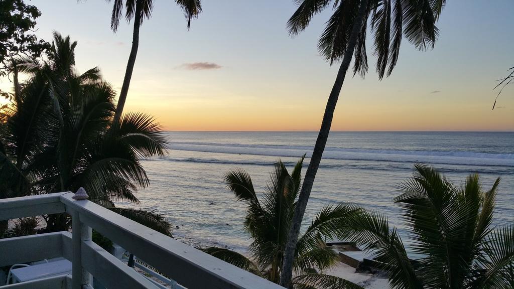 Paradise