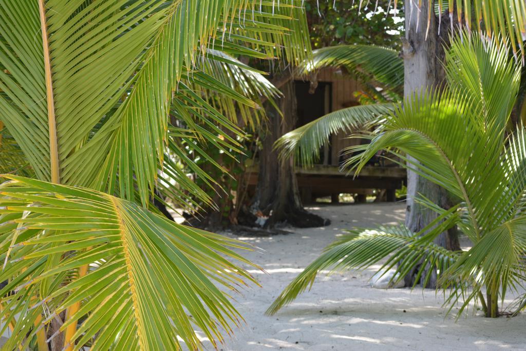 Napa Beachfront Hideaway Rarotonga