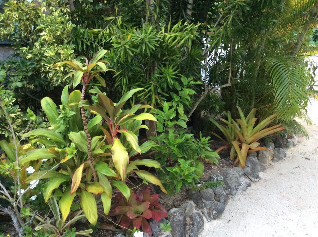Napa Beachfront Hideaway Rarotonga