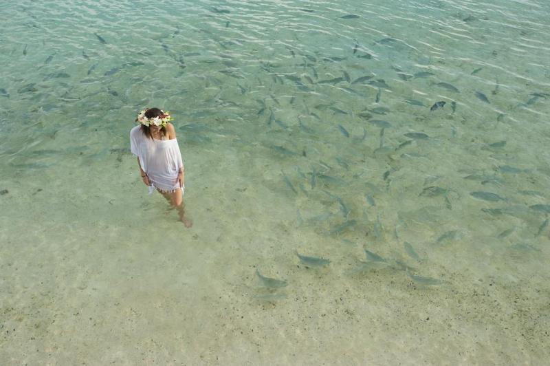 Sanctuary On The (adults Only) 4* Rarotonga