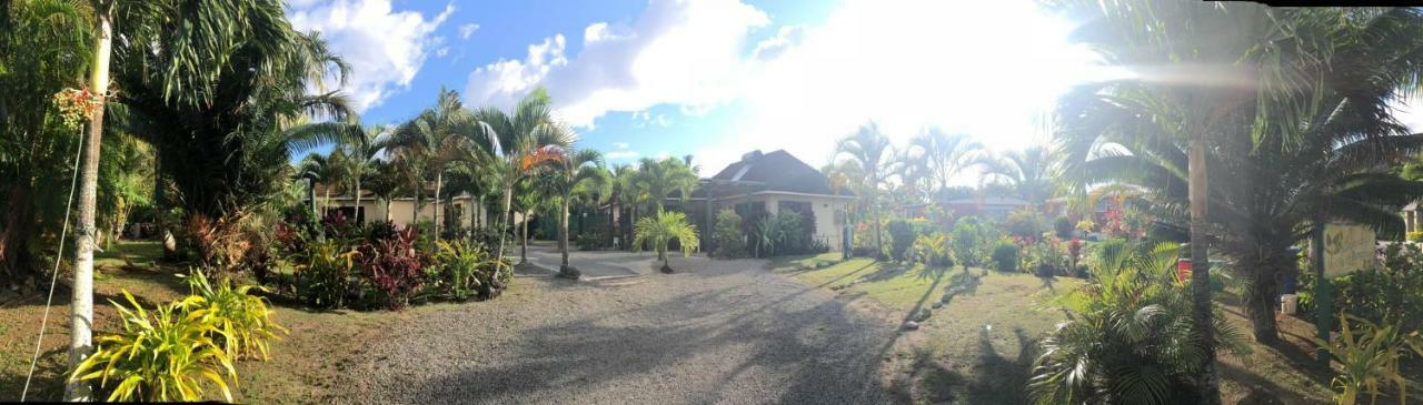 Dorothys Muri Beach Bungalows Apartment *