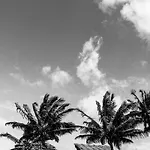 Rarotonga Villas