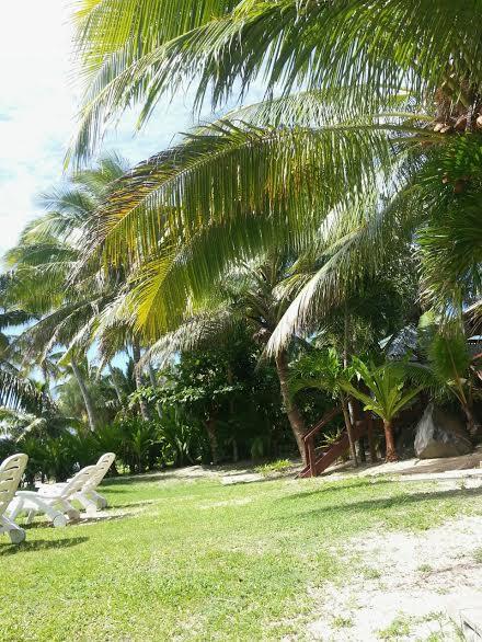 Sunset Palms Guest house Rarotonga