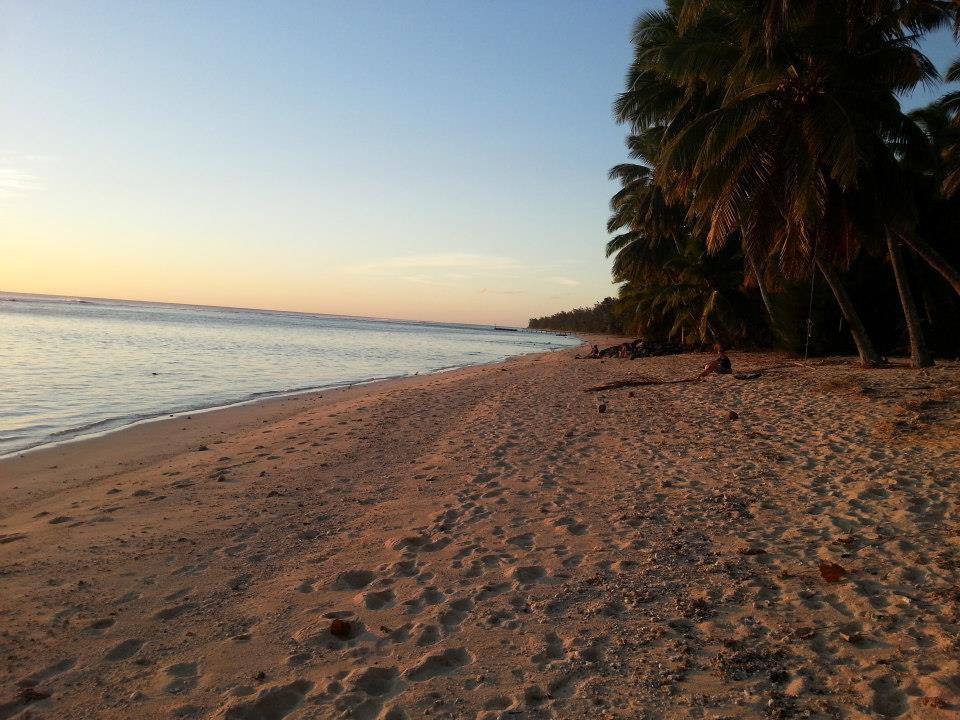 Sunset Palms *