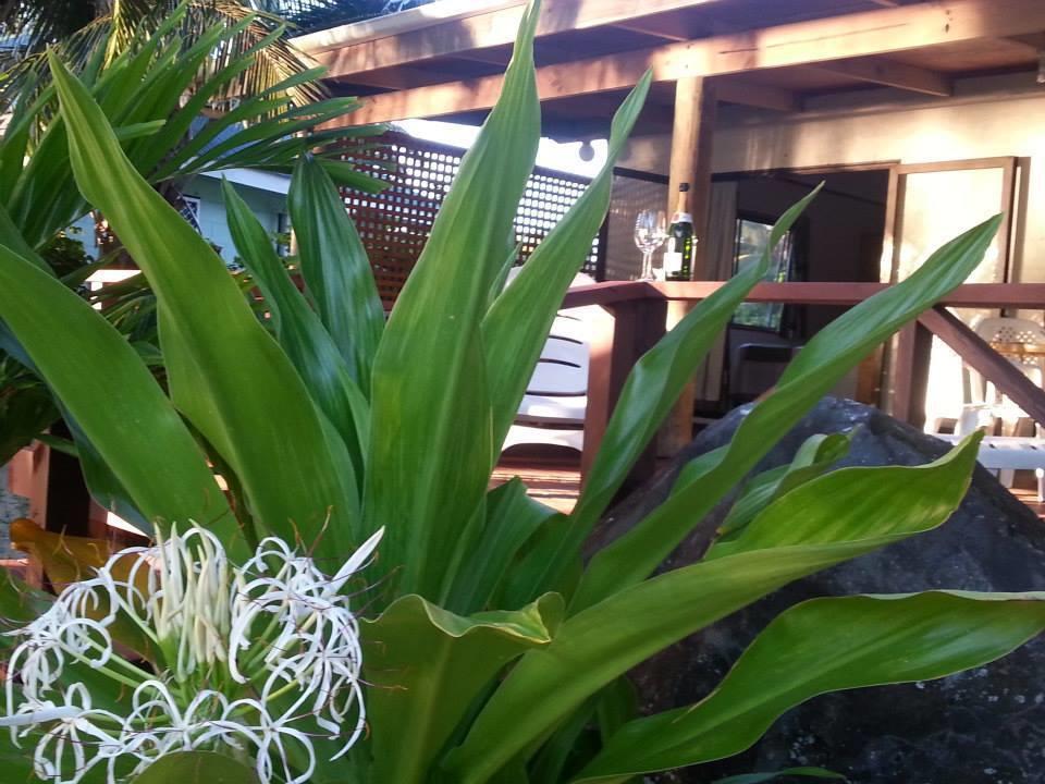 Sunset Palms Guest house *