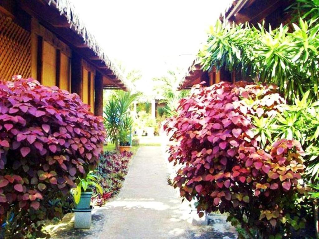 Muri Beach Hideaway Rarotonga