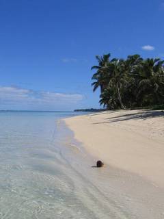 Motu Beachfront Art Rarotonga