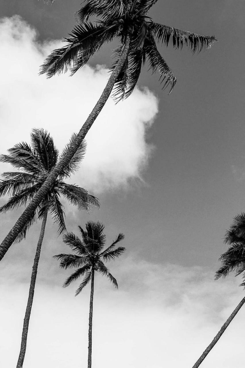 Villa Rarotonga Avarua